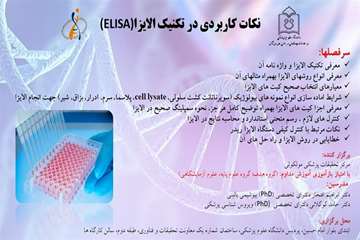 مرکز مولکولی 